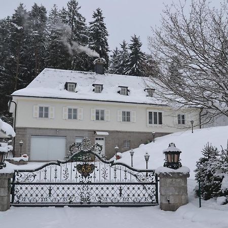 Schwarwald Apartment Schluchsee Eksteriør billede